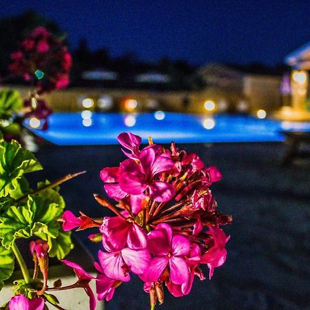 Astrakeroula Corfu Apartment Astrakeri Bagian luar foto
