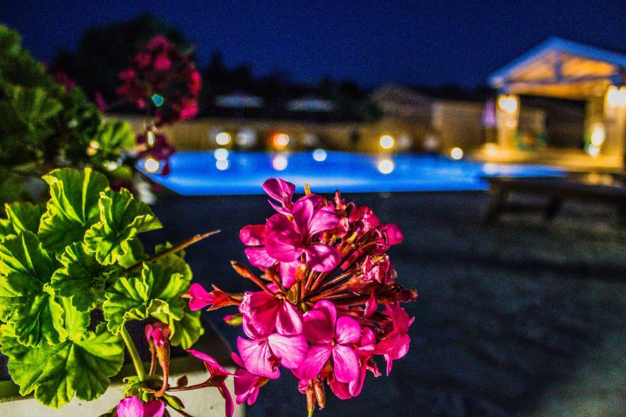 Astrakeroula Corfu Apartment Astrakeri Bagian luar foto